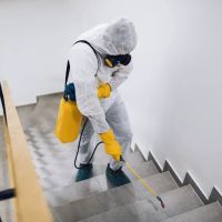 Dial A Bug Pest Control ico