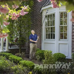 Parkway Pest Services Picture 4