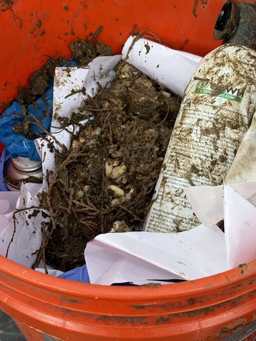 Parkway Pest Services Picture 2