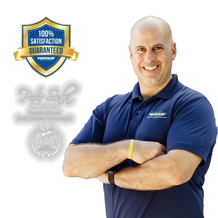 Parkway Pest Services Picture 8