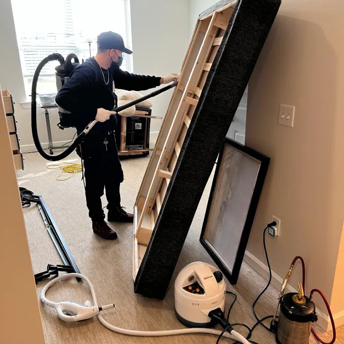 first solutions pest control inc Picture 4