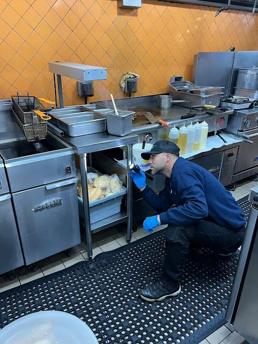 first solutions pest control inc Picture 2