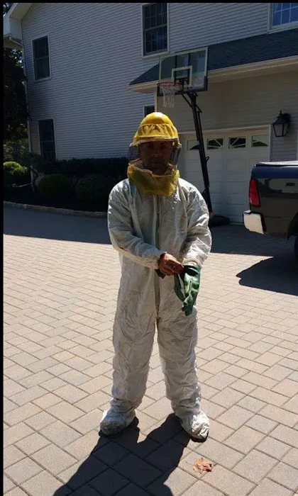 Premier pest control Picture 1