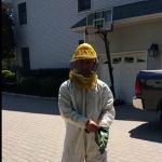 Premier pest control