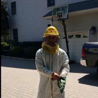 Premier pest control ico