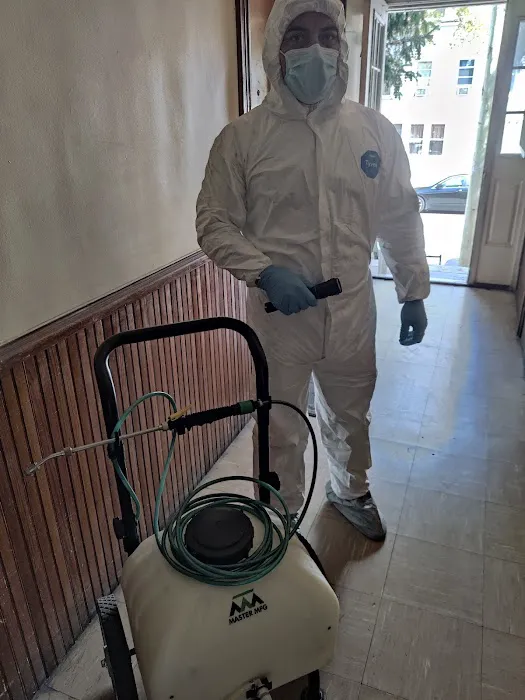 Premier pest control Picture 4