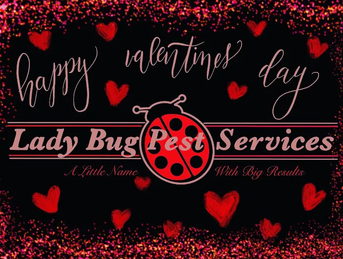 Lady Bug Pest Services Picture 4