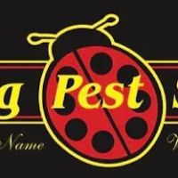 Lady Bug Pest Services ico