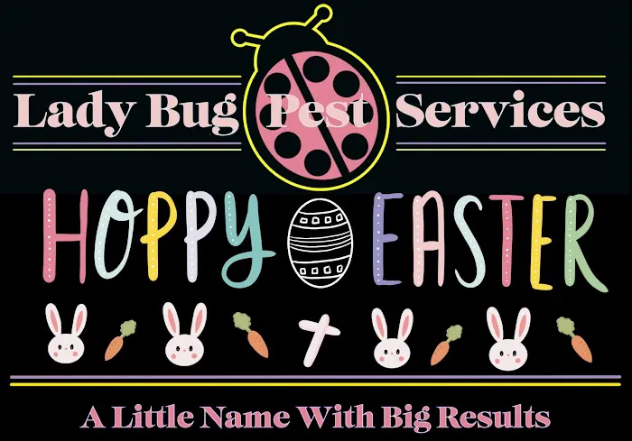 Lady Bug Pest Services Picture 7