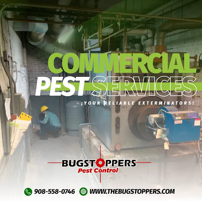 Bugstoppers Pest Control Picture 2