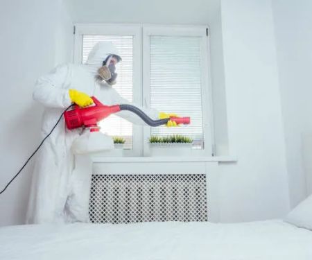 Safe Pest Control Elizabeth Pros
