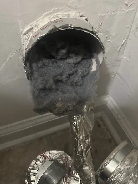 Yellow Jacket Termite & Pest Control LLC Picture 4