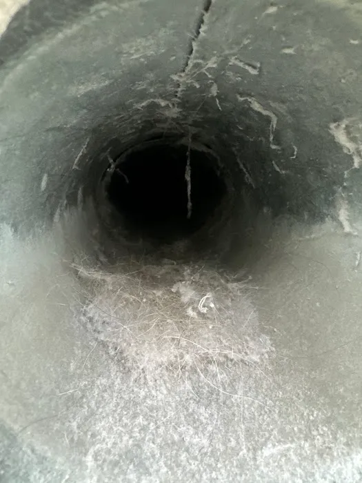 Yellow Jacket Termite & Pest Control LLC Picture 3