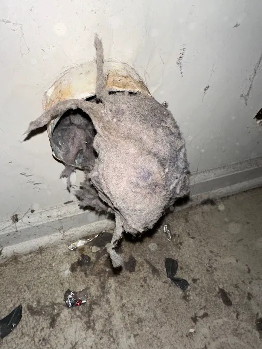 Yellow Jacket Termite & Pest Control LLC Picture 2