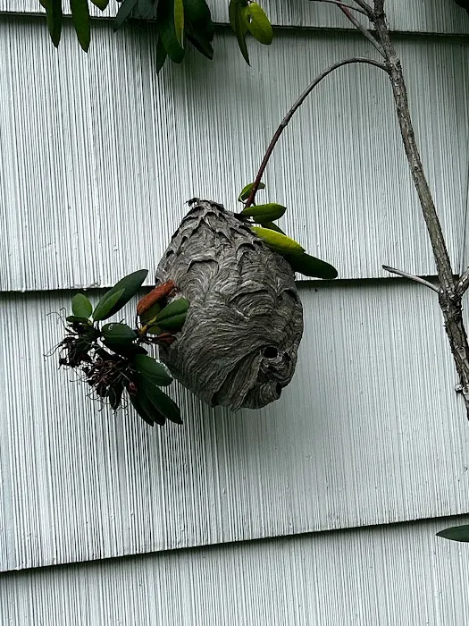 On the Spot Pest Control Picture 4