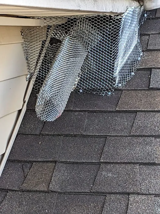 On the Spot Pest Control Picture 5