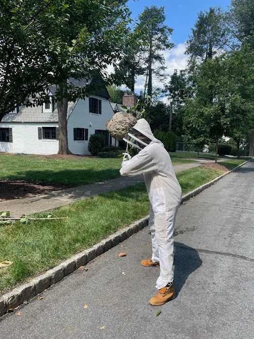 On the Spot Pest Control Picture 3