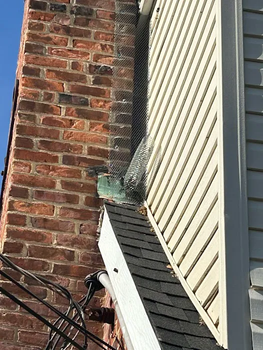 On the Spot Pest Control Picture 2