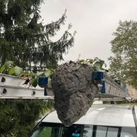 On the Spot Pest Control ico