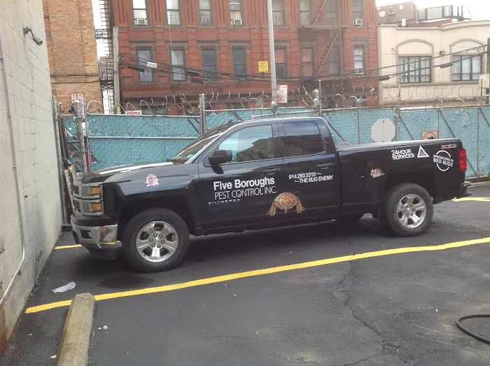 Five Boroughs Pest Control Picture 4
