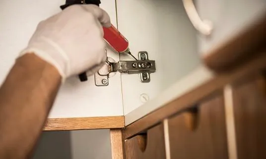 Five Boroughs Pest Control Picture 8