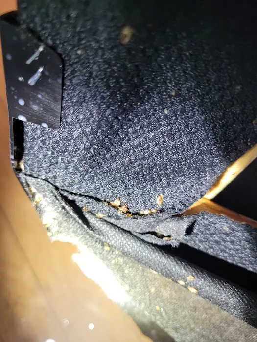 Golden Touch Pest Services Inc Picture 1