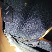 Golden Touch Pest Services Inc ico