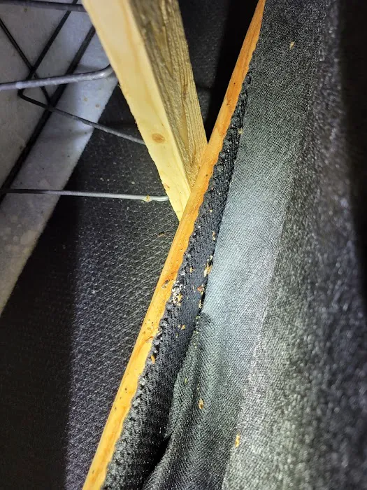 Golden Touch Pest Services Inc Picture 6