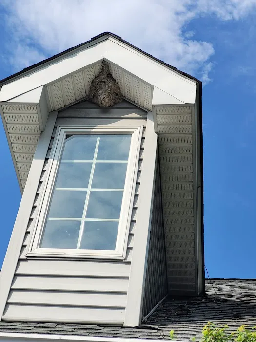 Golden Touch Pest Services Inc Picture 2