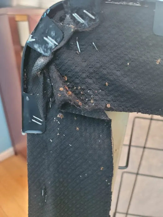 Golden Touch Pest Services Inc Picture 3