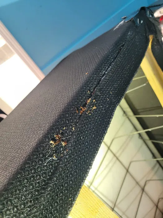 Golden Touch Pest Services Inc Picture 4