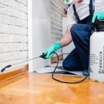 Mt. Vernon Exterminator At Last Pest Control