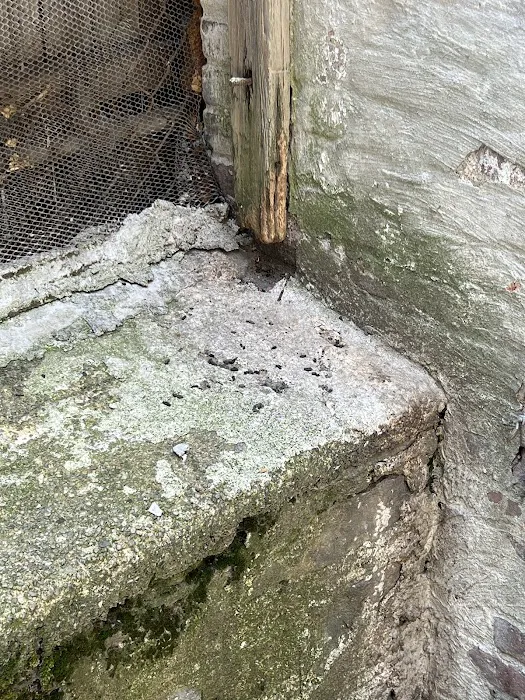 Mt. Vernon Exterminator At Last Pest Control Picture 8