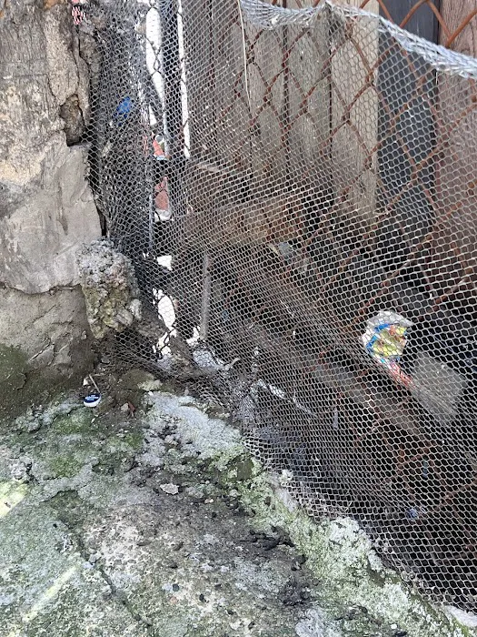 Mt. Vernon Exterminator At Last Pest Control Picture 5