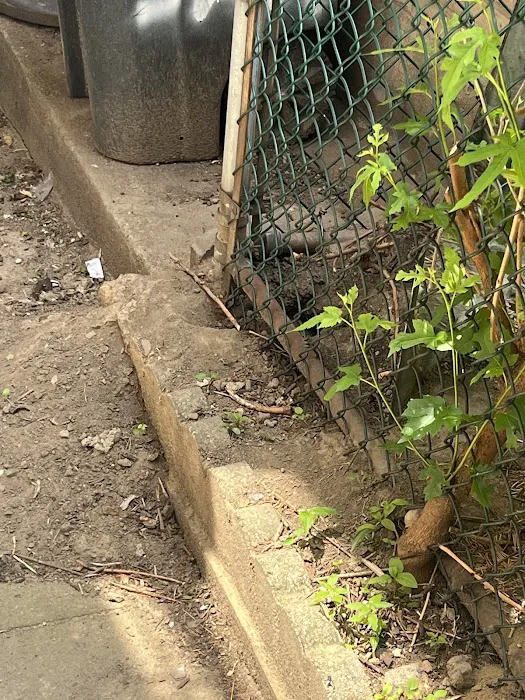 Mt. Vernon Exterminator At Last Pest Control Picture 3