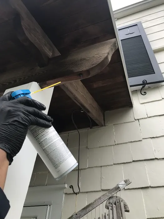 AGJ PEST CONTROL Picture 9