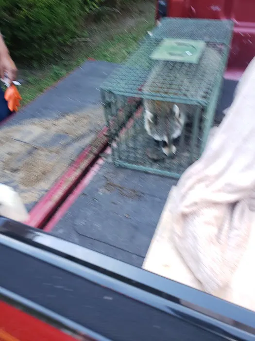 AGJ PEST CONTROL Picture 4