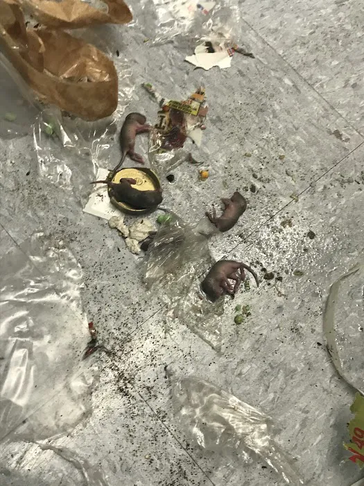 AGJ PEST CONTROL Picture 10