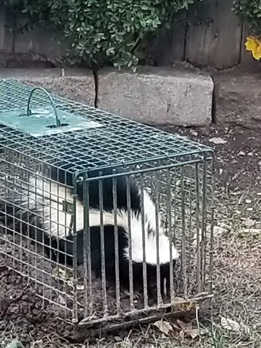 AGJ PEST CONTROL Picture 7