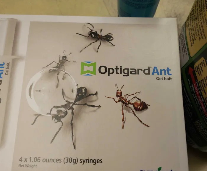 AGJ PEST CONTROL Picture 8