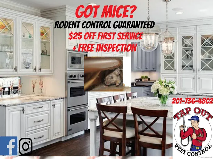 Tapout Termite & Pest Control Picture 7