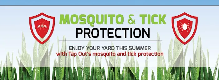 Tapout Termite & Pest Control Picture 5