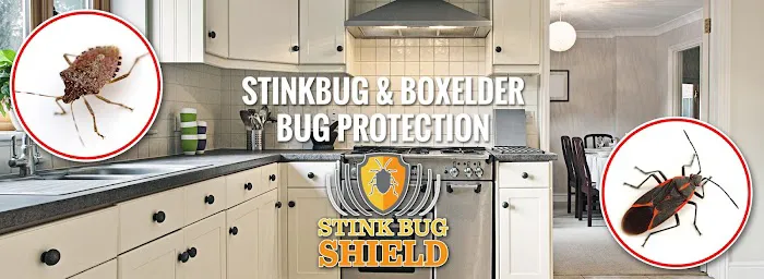 Tapout Termite & Pest Control Picture 3