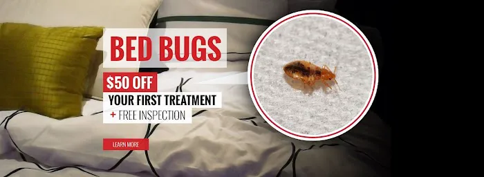 Tapout Termite & Pest Control Picture 4