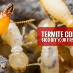 Tapout Termite & Pest Control