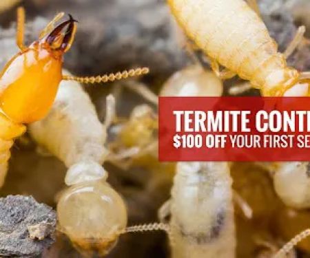 Tapout Termite & Pest Control