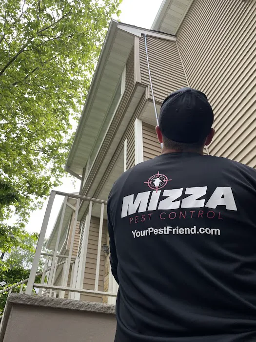 Mizza Pest Control Picture 2