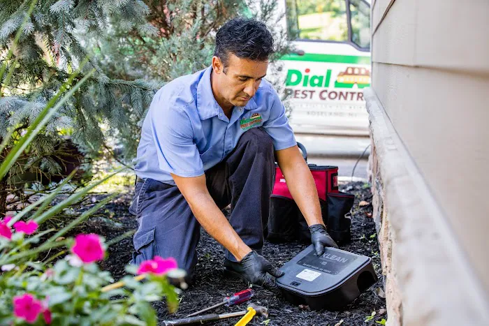 Dial Environmental Picture 2