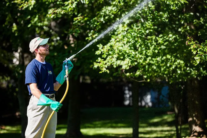 Dial Environmental Picture 8