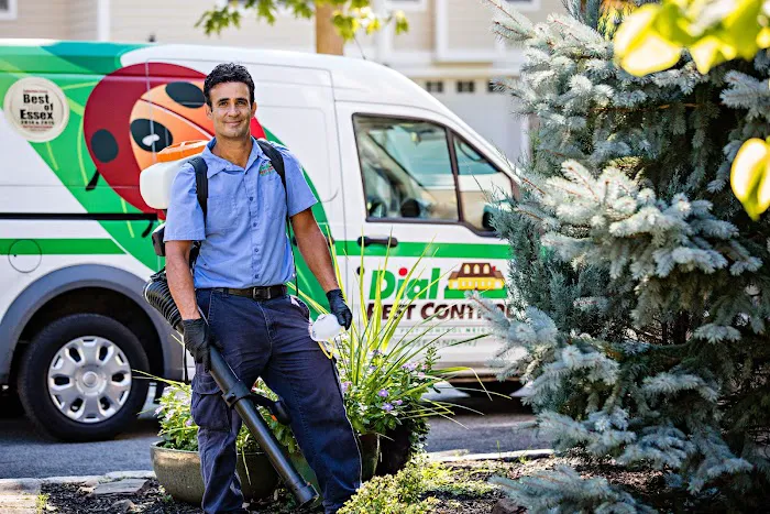 Dial Environmental Picture 4